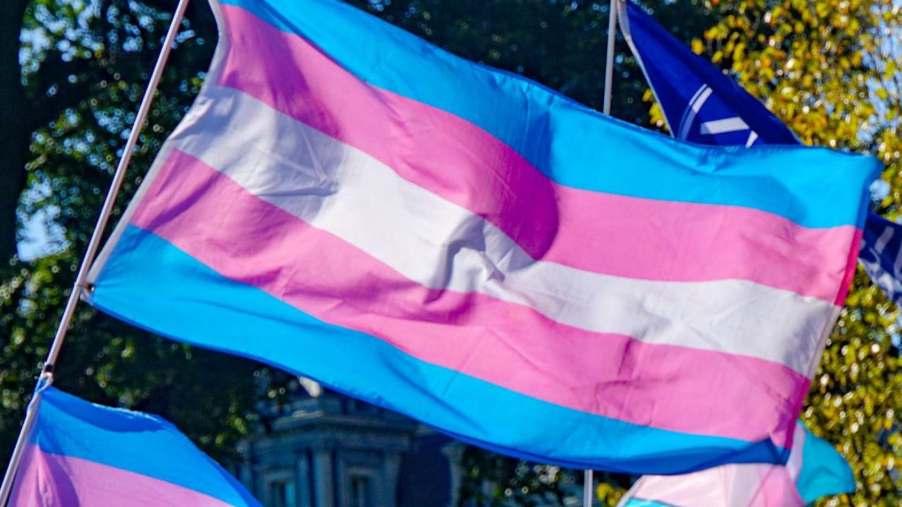 bandeira-trans emprego