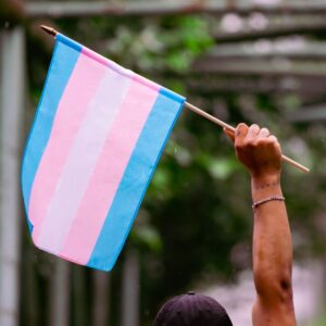 Parada LGBTI+ de Floripa recebe R$ 100 mil de apoio da Câmara de Vereadores
