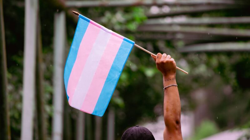 Adolescentes trans conseguem retificar nomes após atuação da Defensoria Pública em Florianópolis