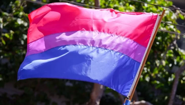 bandeira do orgulho bissexual