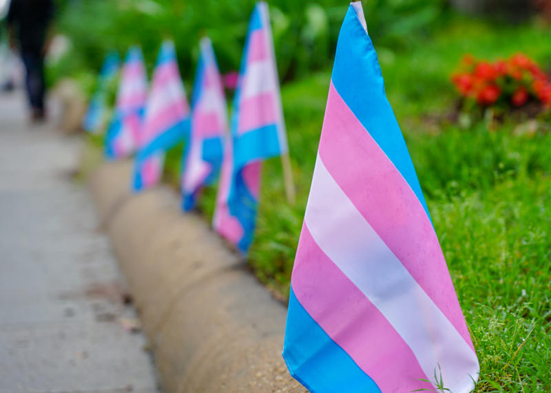 Congresso discute retificação gratuita do nome e sexo de pessoas trans