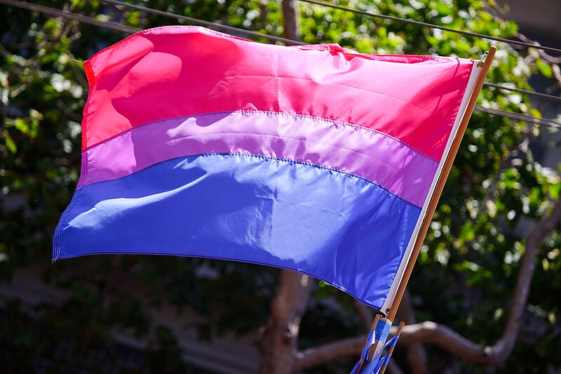 Conheça as bandeiras e as cores de cada letra da sigla LGBTQIA+ A Bandeira Bissexual foi criada em 1998 por Michael Page - Foto: Reprodução/Wikimedia Commons