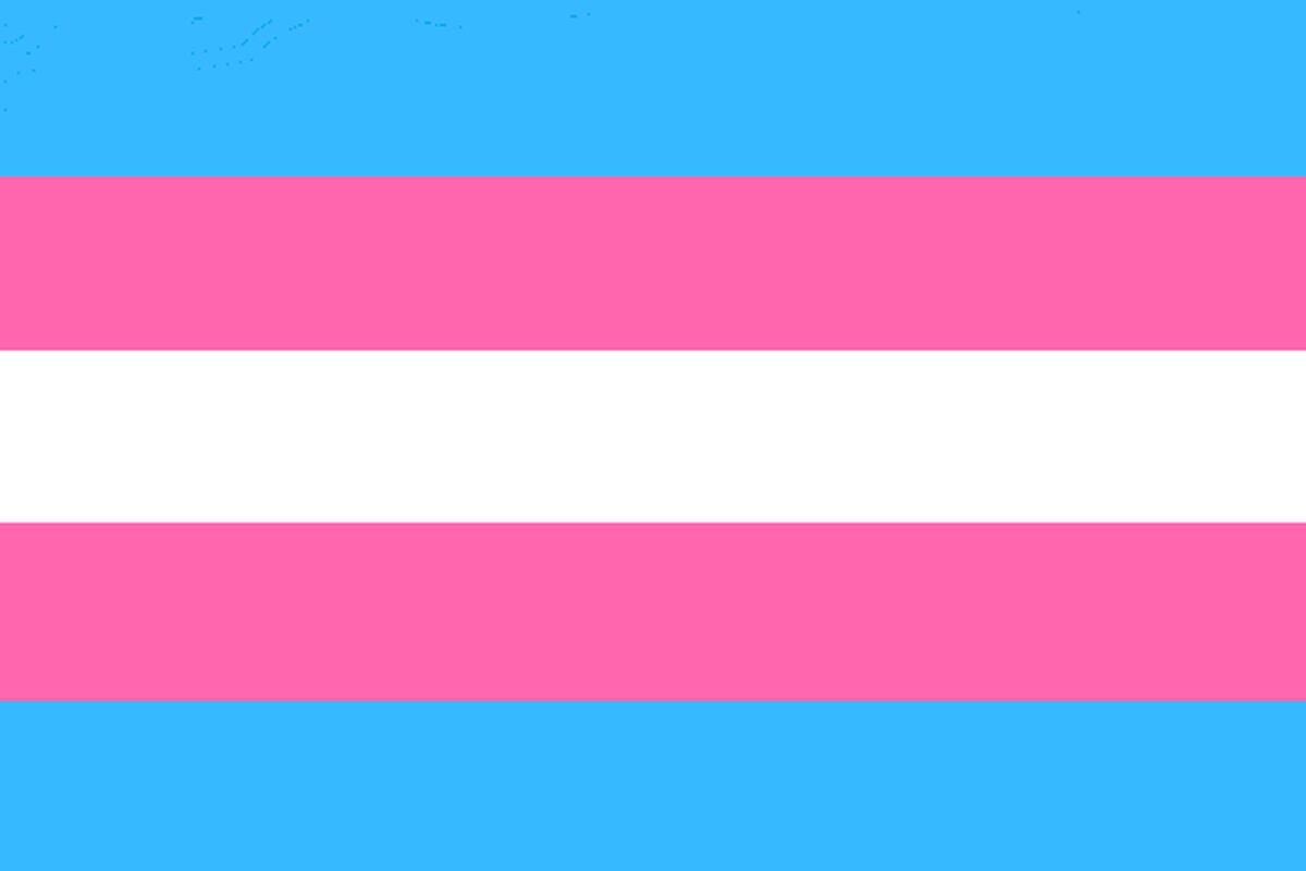 Conheça as bandeiras e as cores de cada letra da sigla LGBTQIA+ A primeira bandeira trans foi doada para Museu de História Nacional Smithsonian - Foto: Arquivo/Wikimedia Commons