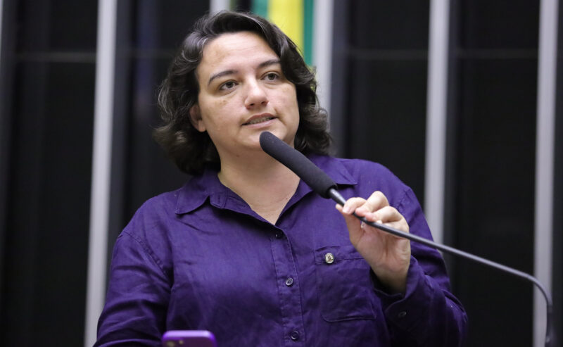 CNLGBTQIA+: Carla Ayres apresenta projeto de lei para instituir o Conselho Nacional