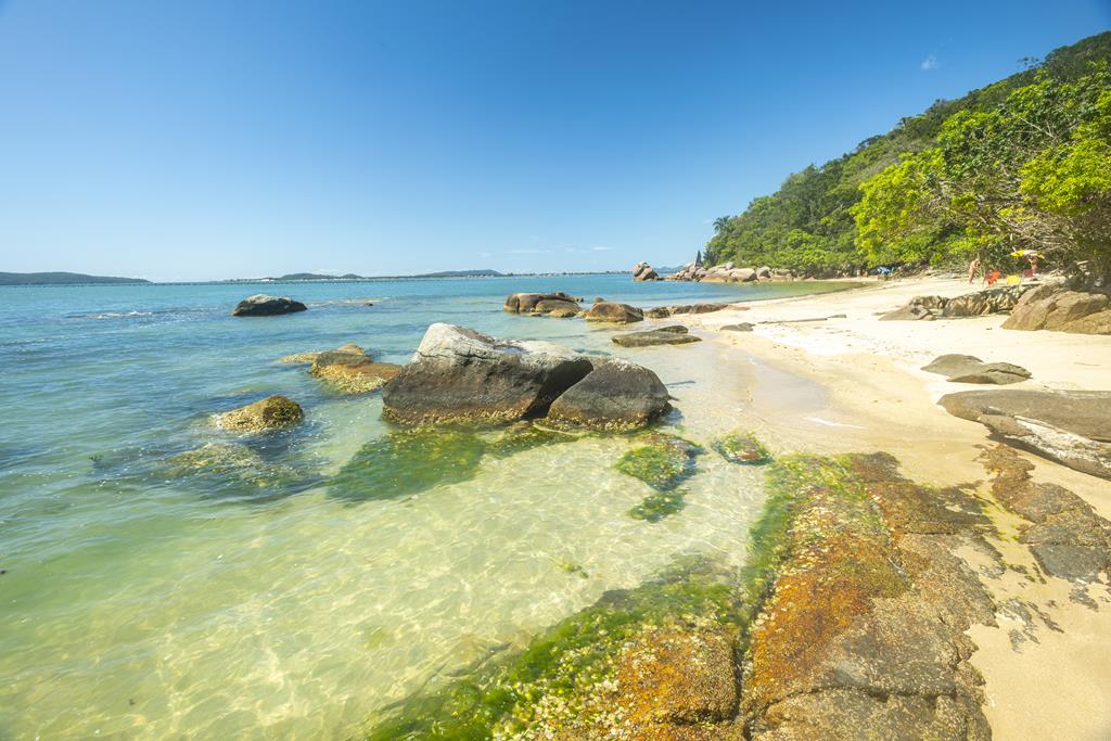 praia de pedras altas palhoça