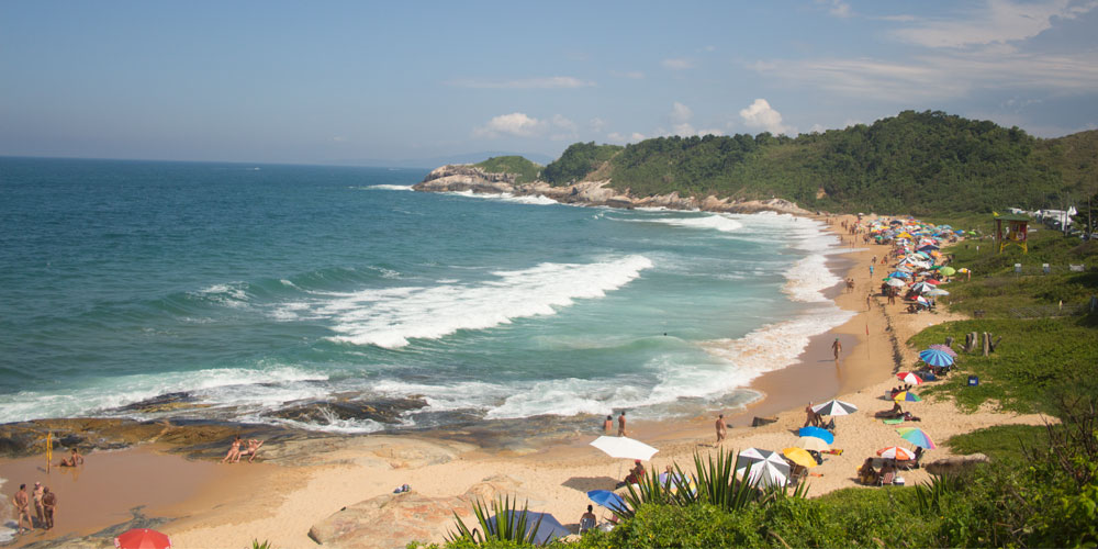 Deputado Jessé Lopes propõe proibição de praias de naturismo em SC e ataca comunidade LGBT+ - Foto: Reprodução/ Floripa.LGBT