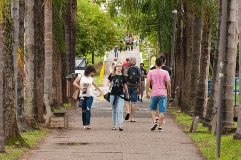 Cotas trans na UFSC: mudanças nas políticas afirmativas geram incertezas A Rede Trans UFSC é uma das frentes da universidade que lutam pelas cotas trans na UFSC – Foto: Henrique Almeida/Divulgação/Florpa.LGBT