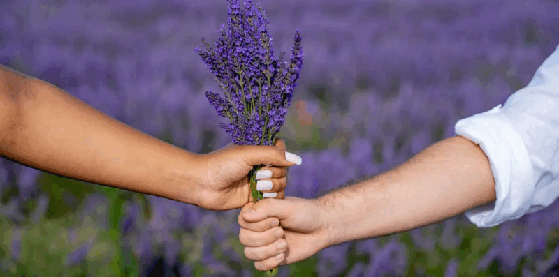 O que é ‘Lavender Marriage’ e por que o conceito está sendo resgatado?