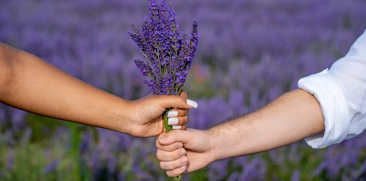O que é ‘Lavender Marriage’ e por que o conceito está sendo resgatado?