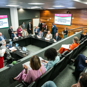 Naturismo em praias de SC - Deputados analisam proposta que pode mudar regras na Praia da Galheta